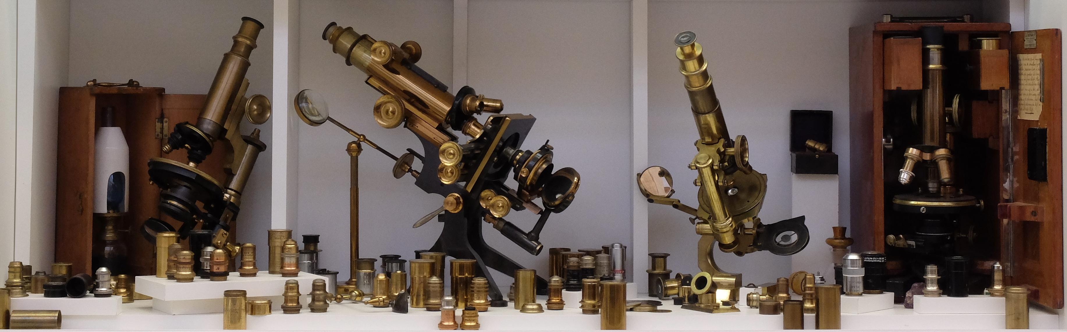 Microscope Seibert