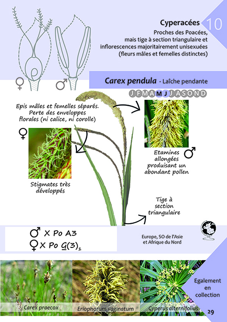 Brochure Évolution