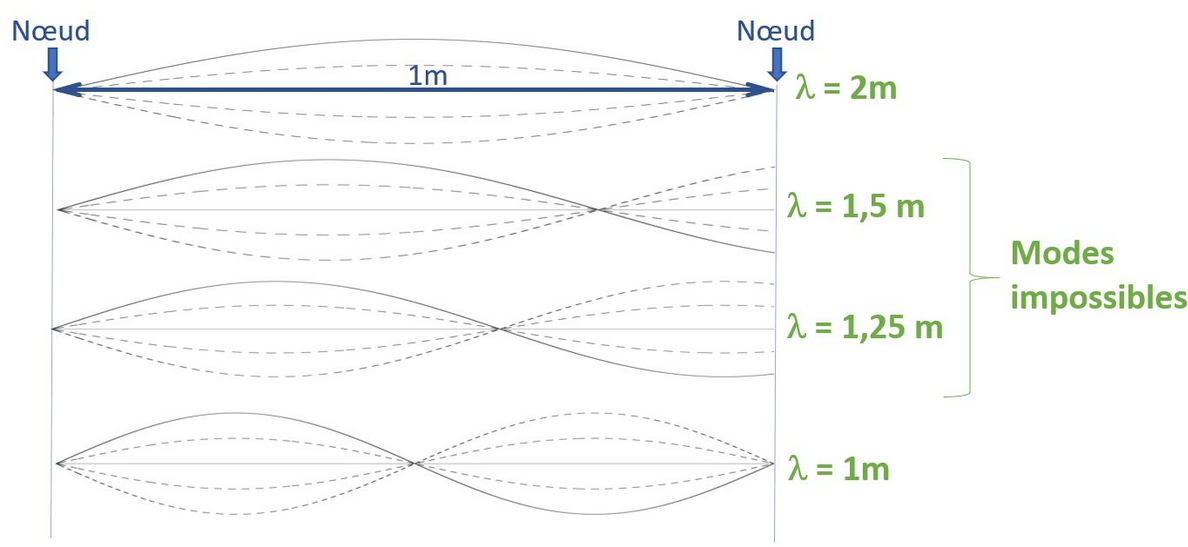 Fig. 3. Toutes les fréquences ne vont pas former des ondes stationnaires. Dans le cas où elles peuvent exister, on numérotera les modes stationnaires en fonction du nombre de ventres qui apparaissent (m=1 correspond au fondamental, m=2 à l’octave, m=3 à l
