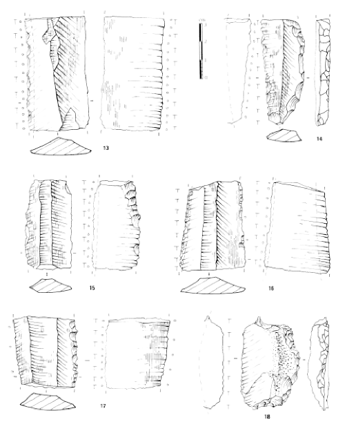 Silex lustrés provenant d'un tribulum