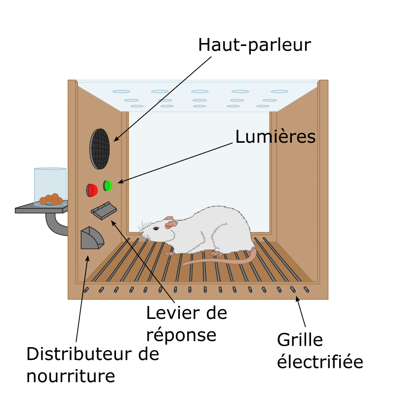 Une boîte de Skinner