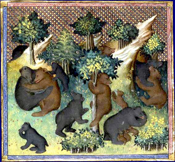 L’ours, voleur de miel (1530), enluminure - Maître de François de Rohan (XVIe siècle), coll. BNF